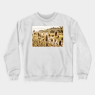 Morning Teasel 2 Crewneck Sweatshirt